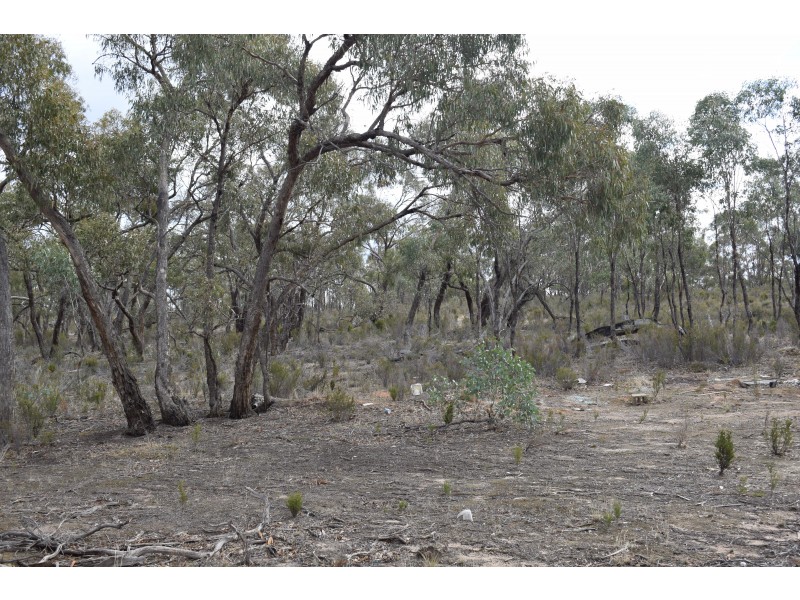 53 Sanderson Court, Bealiba VIC 3475