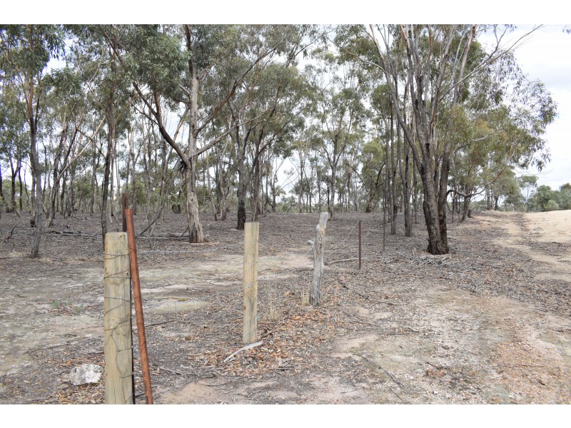 53 Sanderson Court, Bealiba VIC 3475