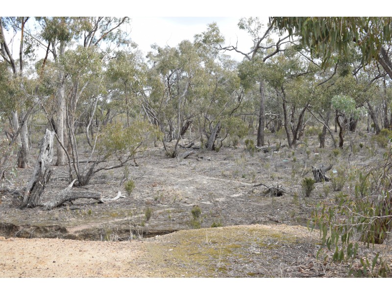 53 Sanderson Court, Bealiba VIC 3475