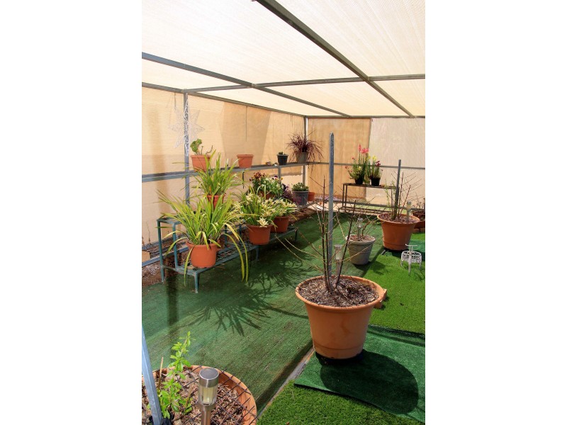 3 Ferrier Street, Lockhart NSW 2656