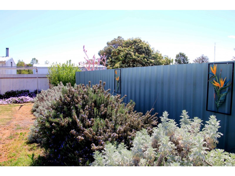 3 Ferrier Street, Lockhart NSW 2656