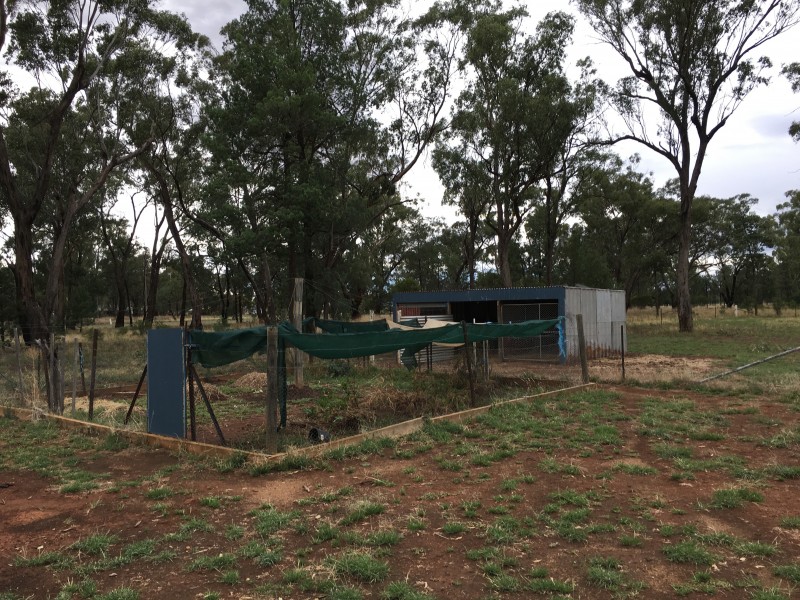 6-8 Namoi Street, Boree Creek NSW 2652