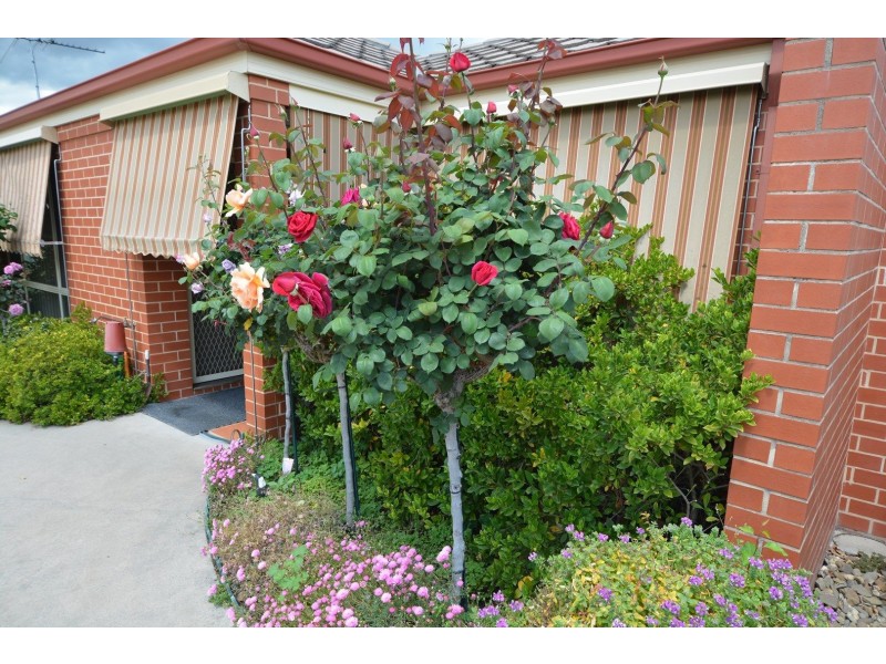 214D Beechworth Road, Wodonga VIC 3690