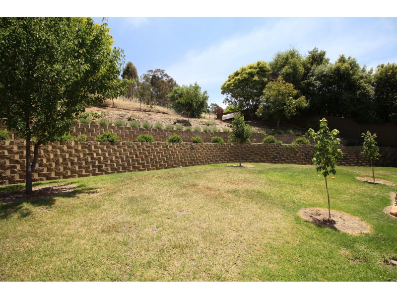 43 Sunrise Terrace, East Albury NSW 2640