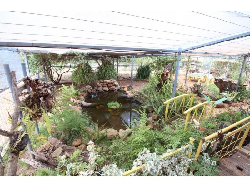 9 Lachlan Street, Boree Creek NSW 2652