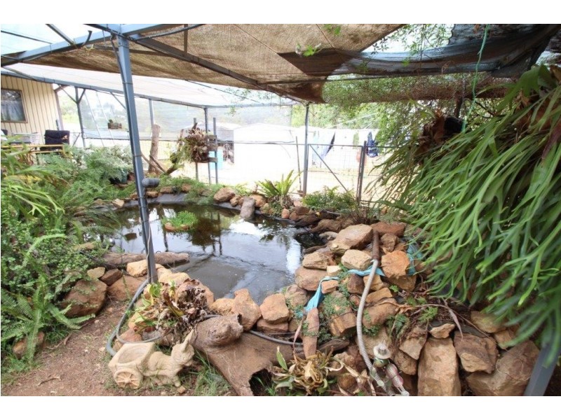 9 Lachlan Street, Boree Creek NSW 2652