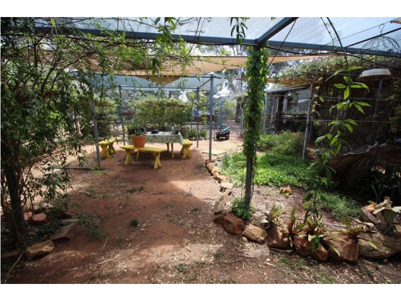 9 Lachlan Street, Boree Creek NSW 2652