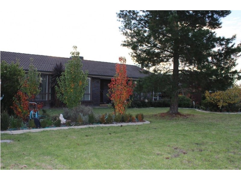 6 Fifield Close, Culcairn NSW 2660