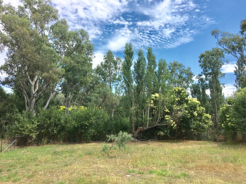 24b Bevington Bend, Lavington NSW 2641