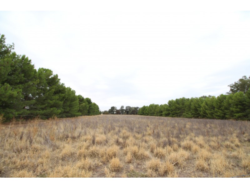 Lot 12 Green Street West, Lockhart NSW 2656