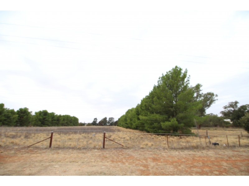 Lot 12 Green Street West, Lockhart NSW 2656