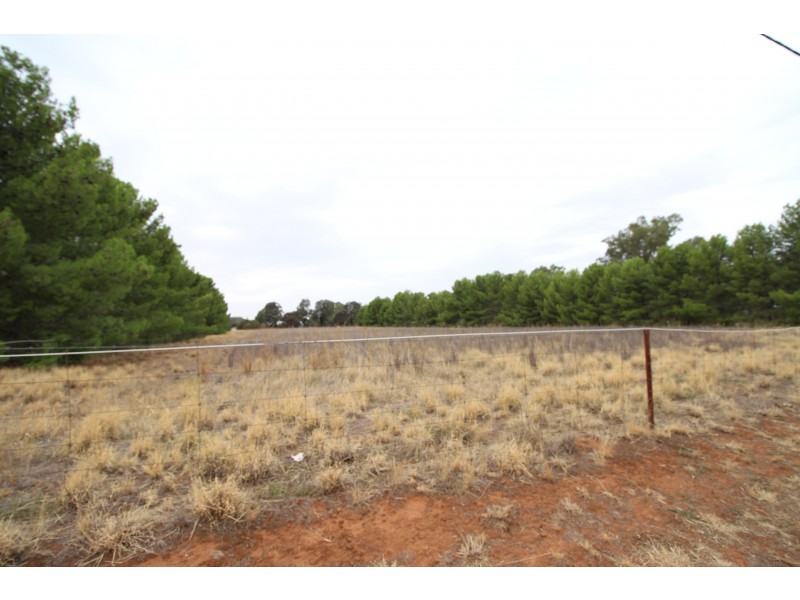 Lot 12 Green Street West, Lockhart NSW 2656