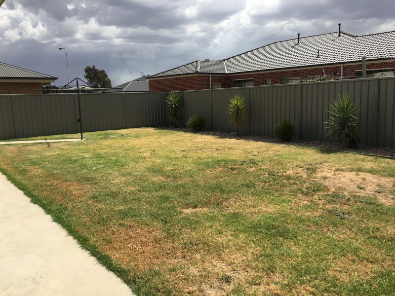 81 Cambridge Drive, Thurgoona NSW 2640