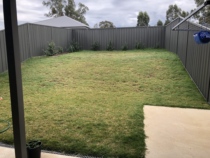 95 Riverboat Drive, Thurgoona NSW 2640