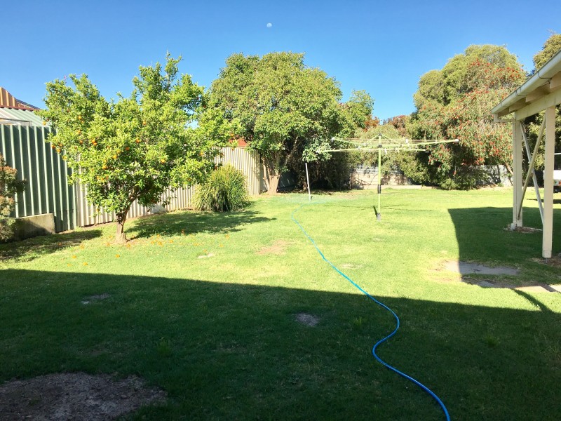 308 Dick Road, Lavington NSW 2641