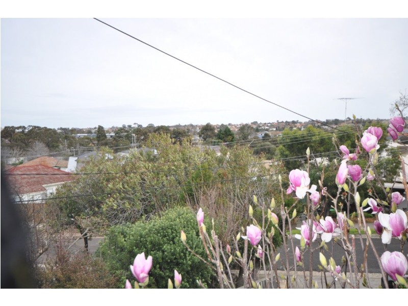 6 Langtree Avenue, Pascoe Vale South VIC 3044