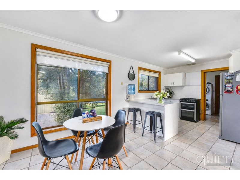 12 Locke Street, Mount Gambier SA 5290