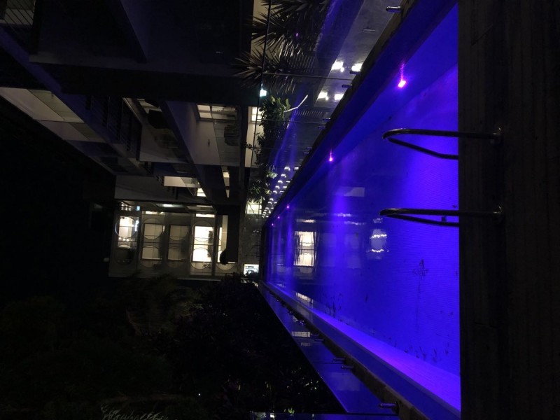 626/88  Anzac Parade, Kensington NSW 2033