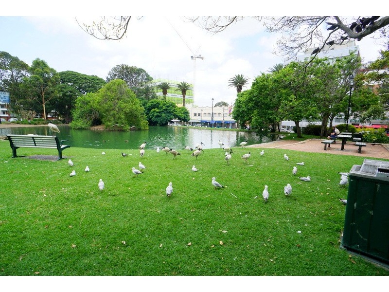 13/14-16 Park Ave, Burwood NSW 2134