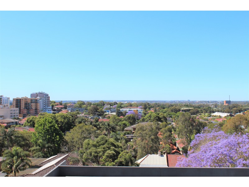 14/17 Wilga Street, Burwood NSW 2134