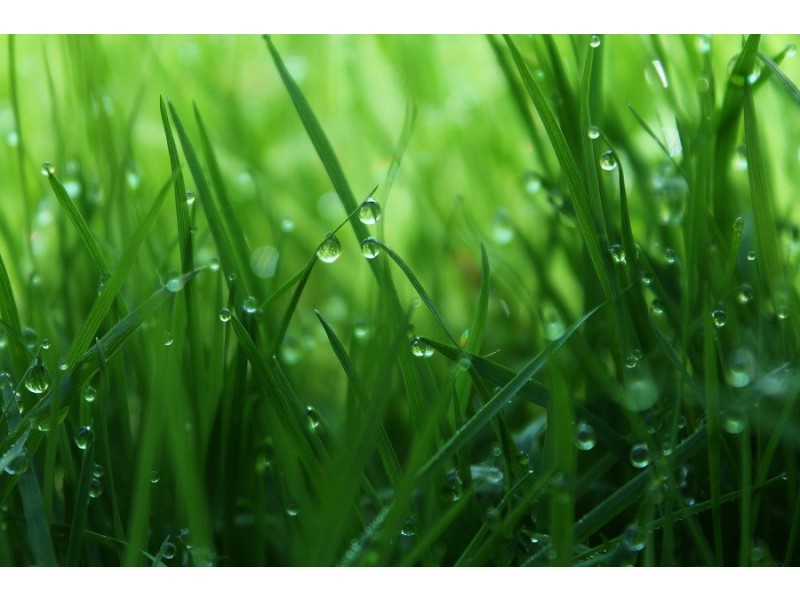 Lot 2, 5 Hayes Road, Hampton Park VIC 3976