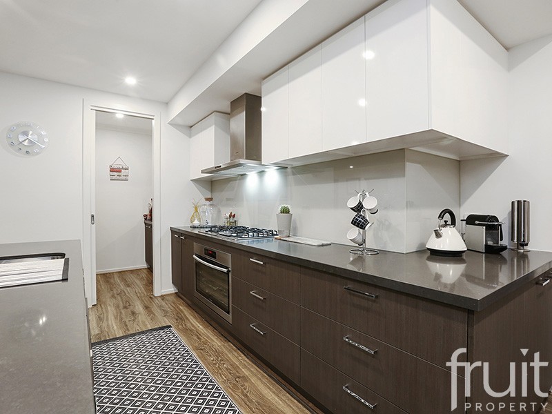 41 Aerial Avenue, Torquay VIC 3228