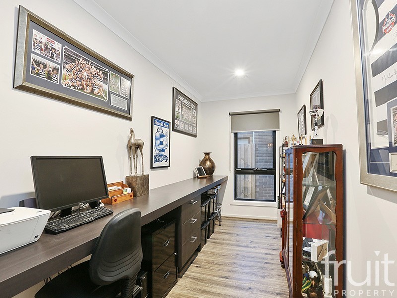 41 Aerial Avenue, Torquay VIC 3228