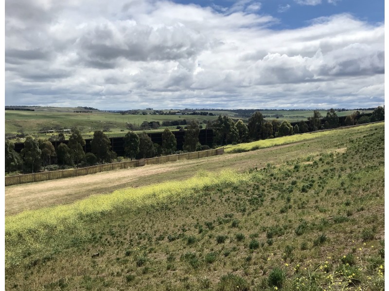 131 MONIER WAY, Fyansford VIC 3221