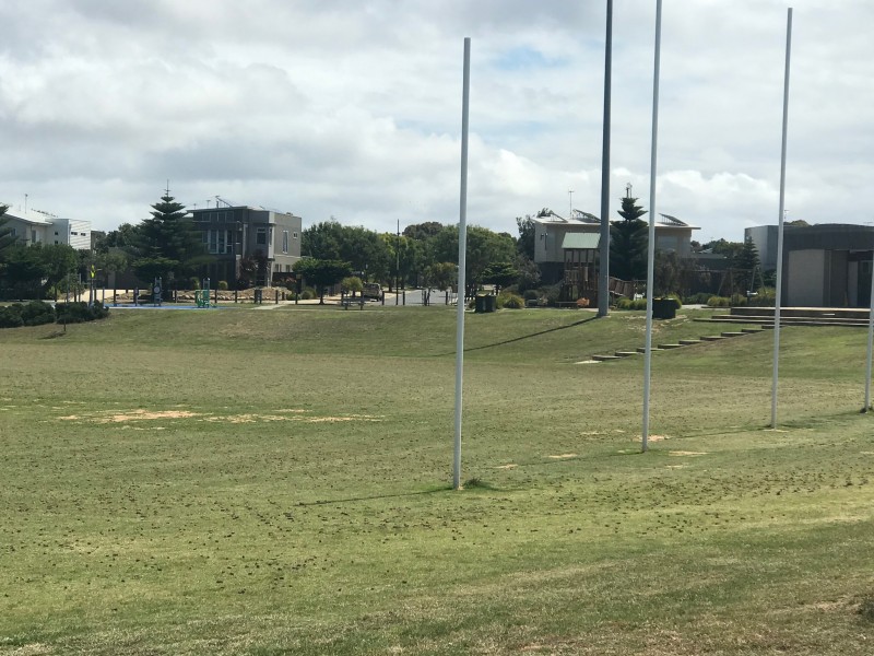 195 Merrijig Drive, Torquay VIC 3228