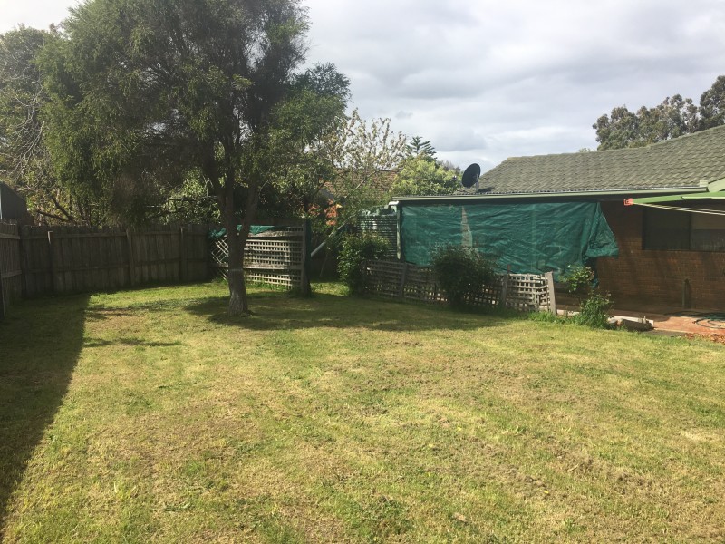 11 Seabird Court, Torquay VIC 3228