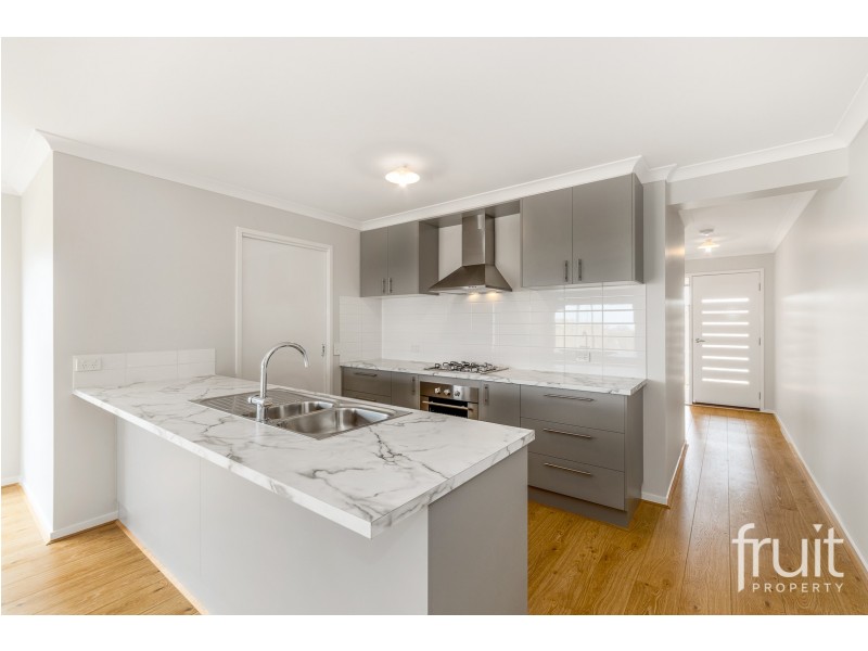 22 Lightwood Street, Torquay VIC 3228