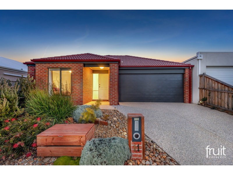 11 Mirri Drive, Torquay VIC 3228