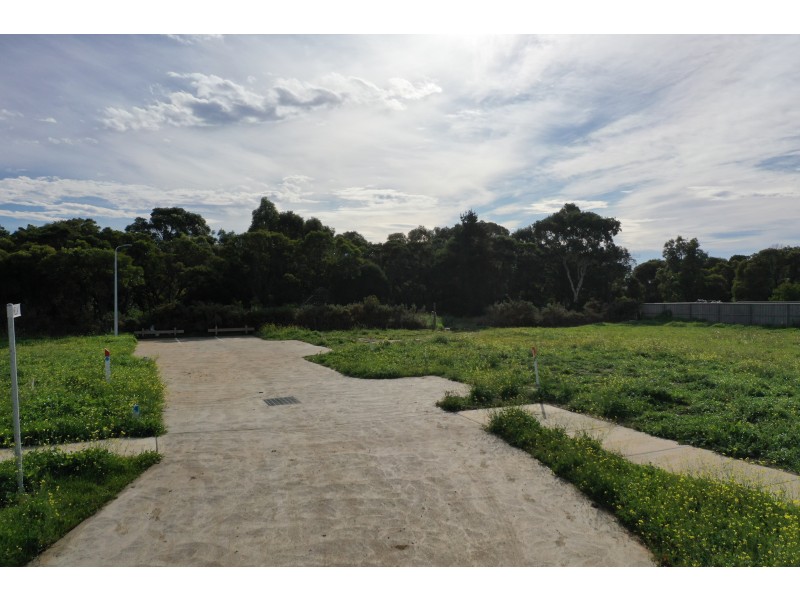 4 Amelia Place, St Leonards VIC 3223