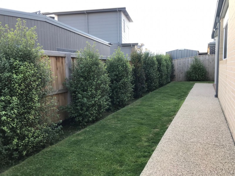 12 McLean Street, Torquay VIC 3228