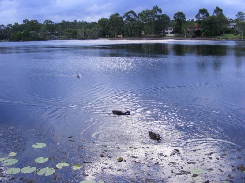 26 Booloumba Crescent, Forest Lake QLD 4078