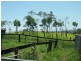 Pine Mountain QLD 4306