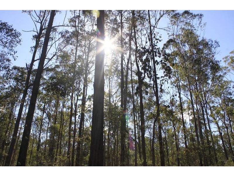 Lot 434, Arborfourteen Road, Glenwood QLD 4570
