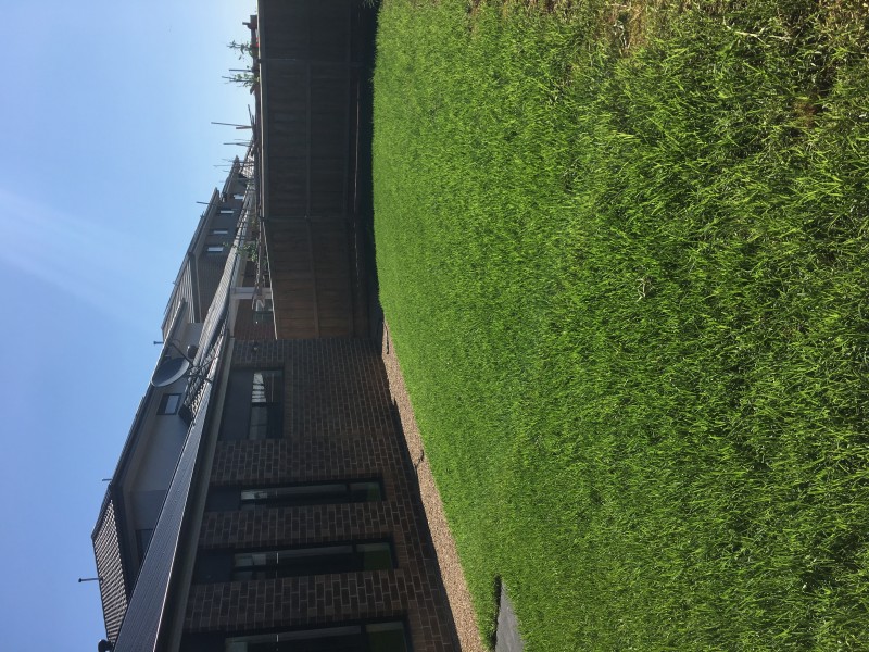 32 Lucinda Lane, Cranbourne North VIC 3977