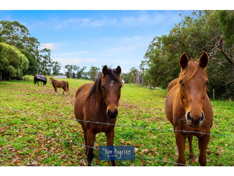 155 Ellis Road, Tonimbuk VIC 3815