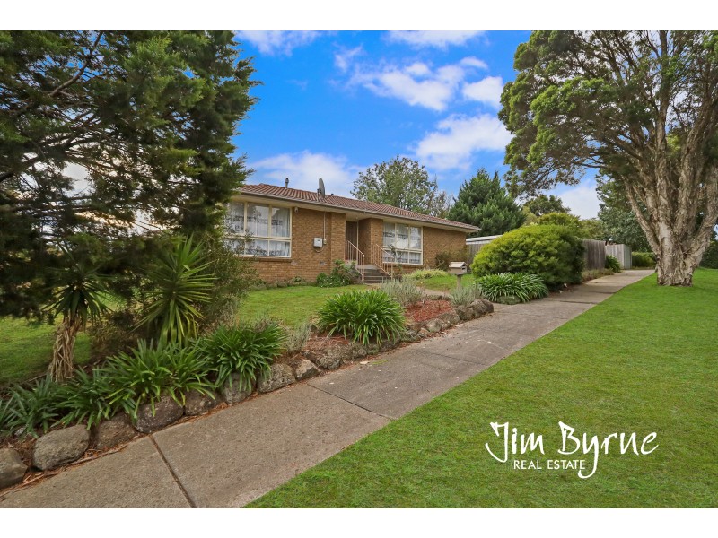 42 Saxonwood Drive, Narre Warren VIC 3805