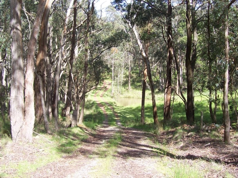 191 ALDREDS LANE, Ballan VIC 3342