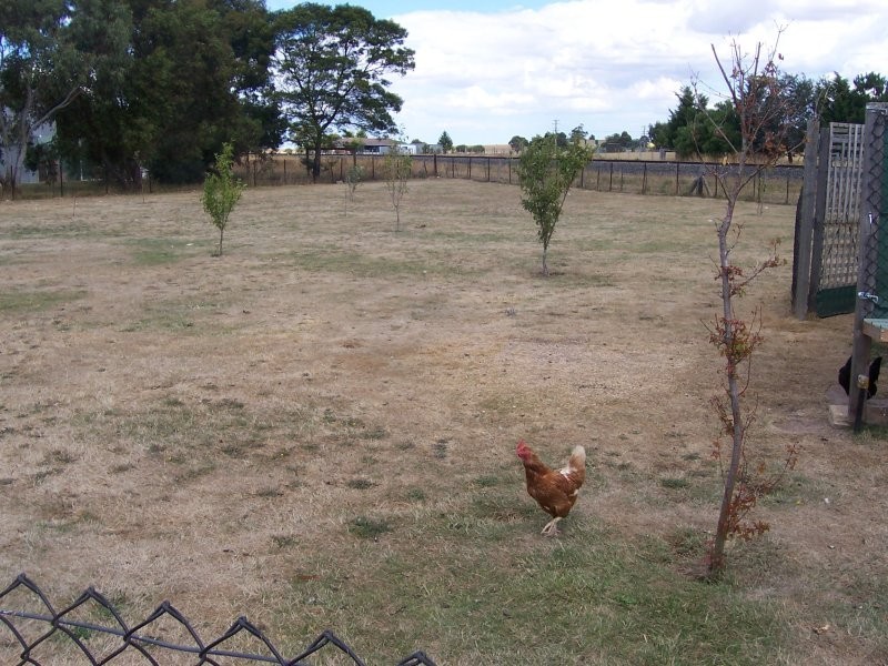 25 Lay Court, Ballan VIC 3342