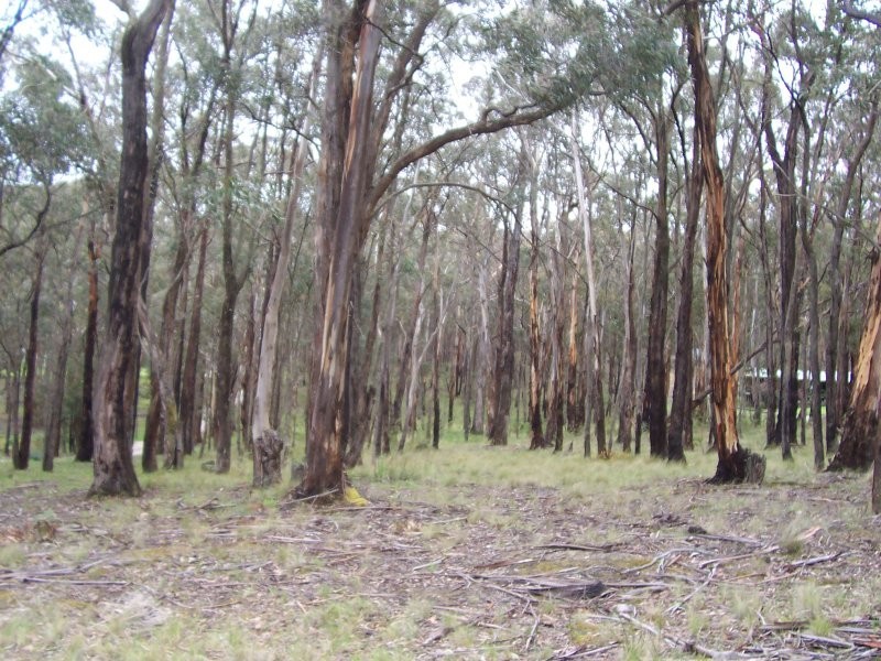 Cowans Drive, Dales Creek VIC 3341