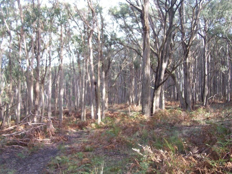 Cemetary Lane, Mount Egerton VIC 3352