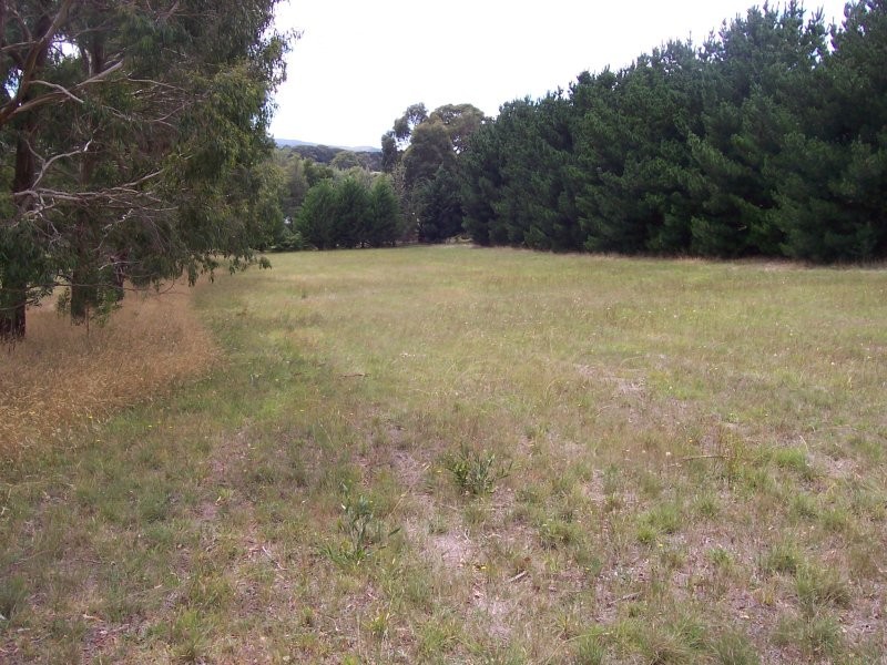 3 Rosenow Street, Gordon VIC 3345