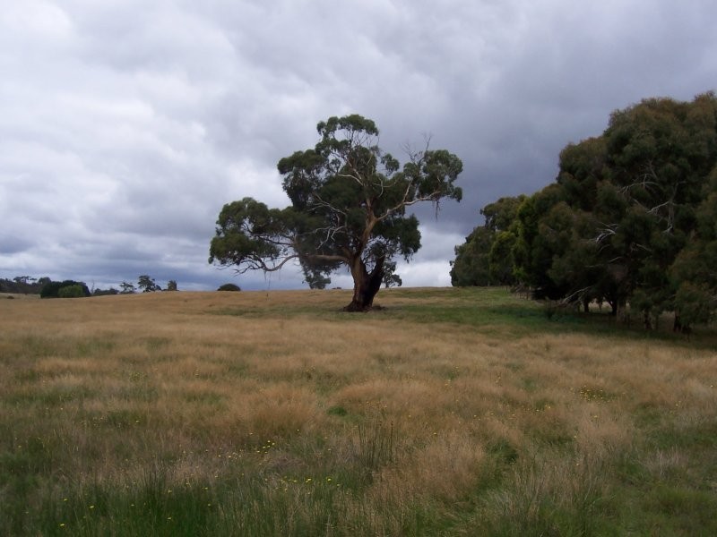 CA87C Yendon Road, Mount Egerton VIC 3352