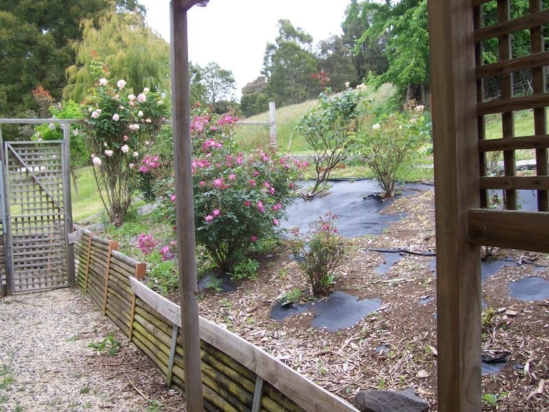 12 Victoria Tile Lane, Mount Egerton VIC 3352