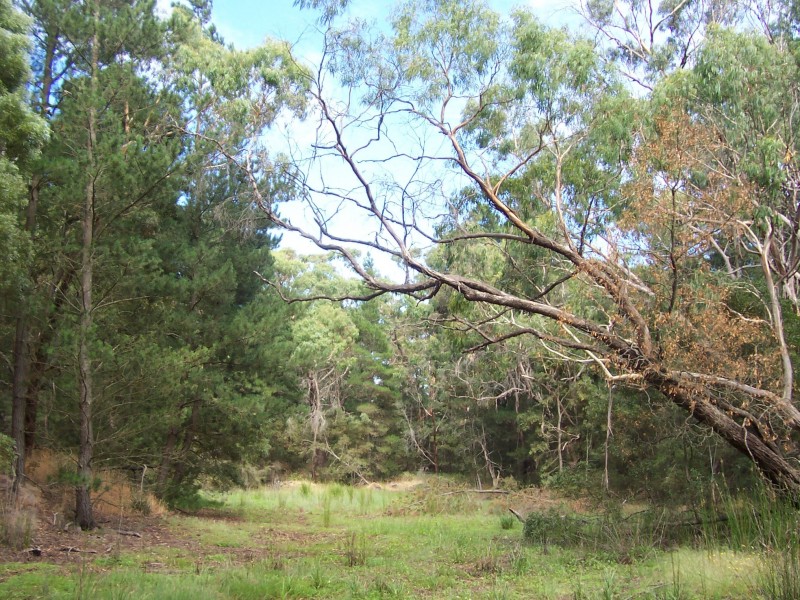 Lot 7,  Parkers Road, Lal Lal VIC 3352