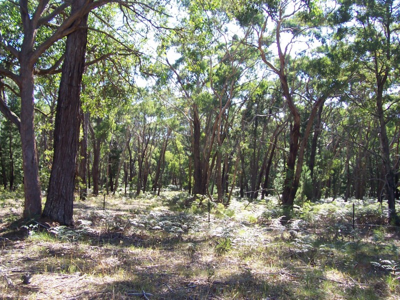 C.A. 3 Mount Doran-Egerton Road, Mount Doran VIC 3334