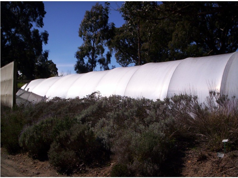 58 Sharrocks Road, Mount Egerton VIC 3352